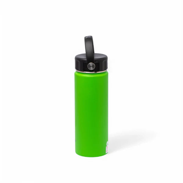 Stainless Steel Insulated Water Bottle with Screw-On Cap - 20 oz (590ml), Green
