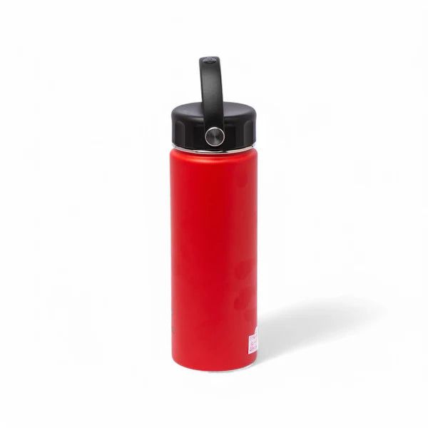 Stainless Steel Insulated Water Bottle with Screw-On Cap - 20 oz (590ml), Red