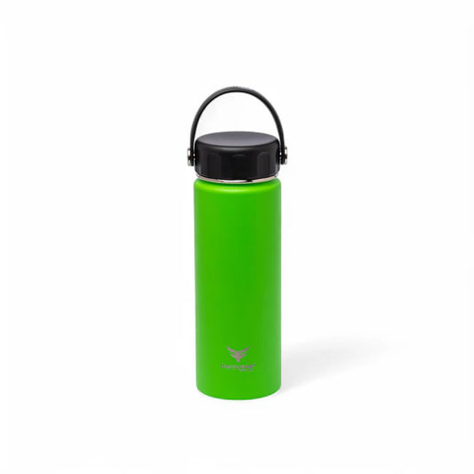 Stainless Steel Insulated Water Bottle with Screw-On Cap - 20 oz (590ml), Green